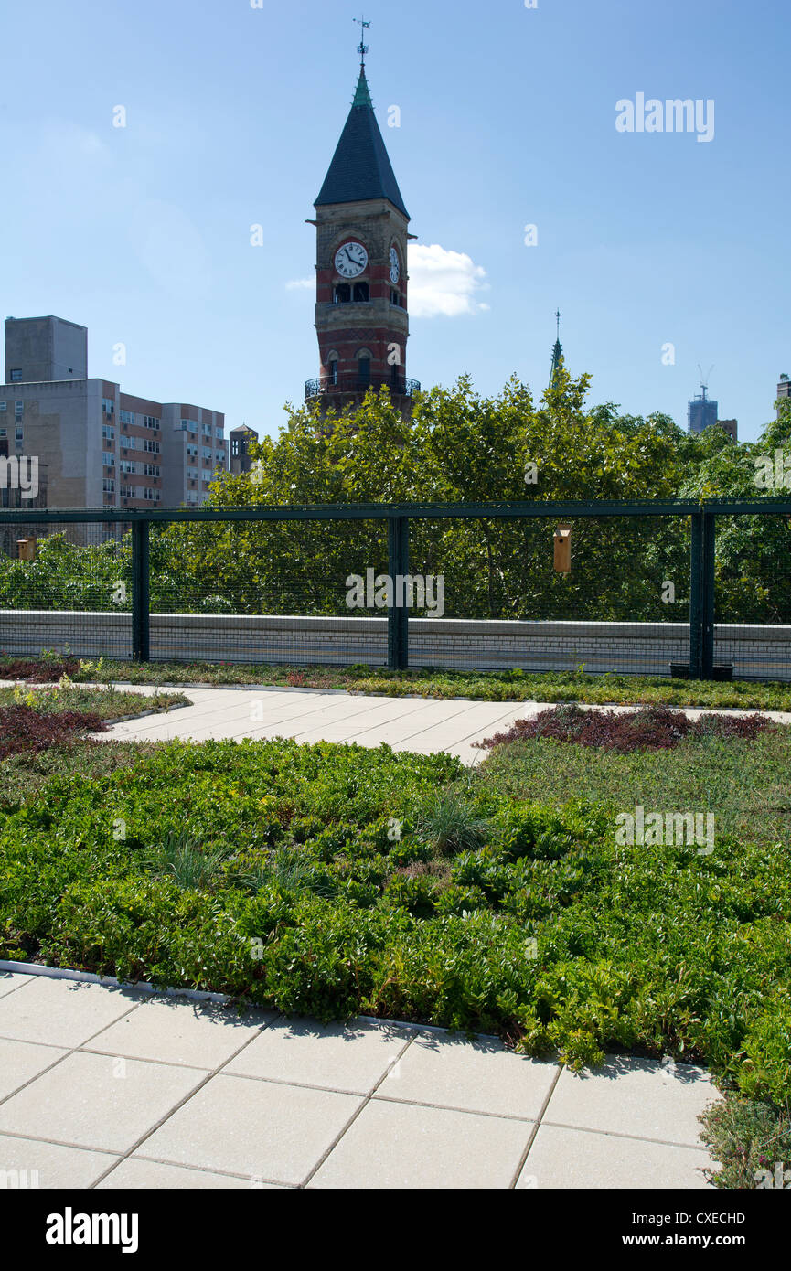 Il tetto verde su una scuola nel villaggio di Greenwich quartiere di New York Foto Stock