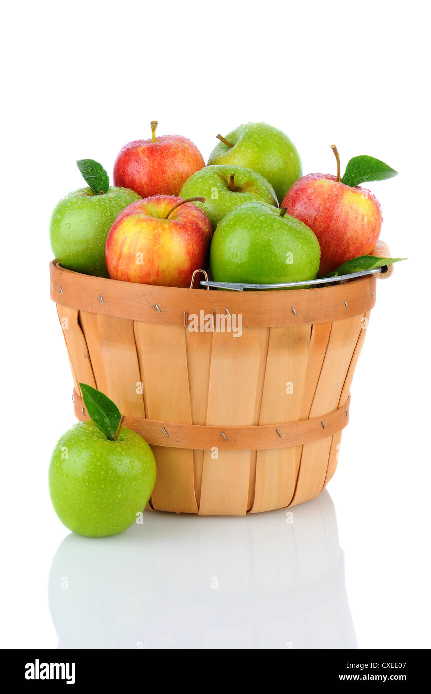 Un cesto di prodotti freschi raccolti Gala e le mele Granny Smith. Formato verticale su uno sfondo bianco con la riflessione. Foto Stock