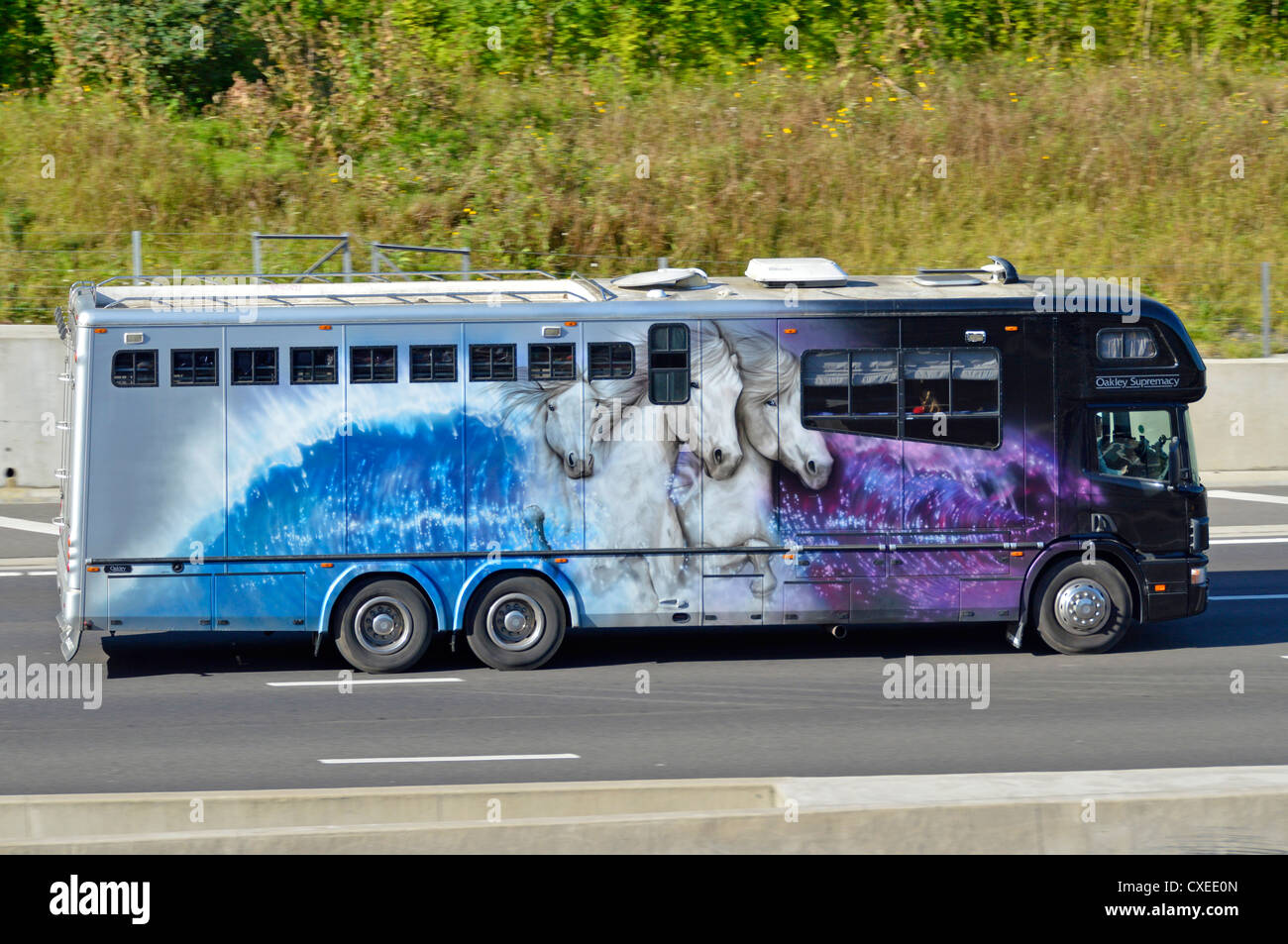 Primo piano della vista laterale della figura dei cavalli sulla doppia parte posteriore Axle Oakley Supreme Horse box camion che guida sul Regno Unito Autostrada Inghilterra Foto Stock