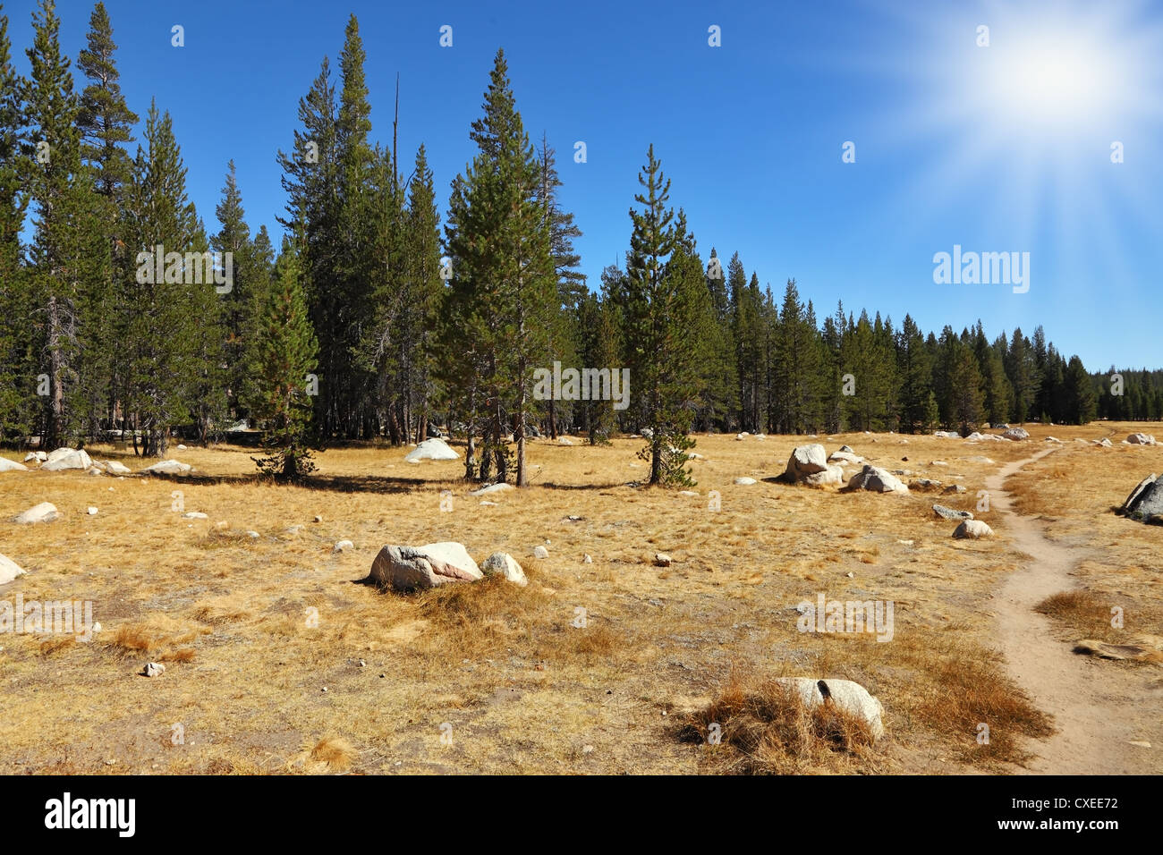 Il sole che splende Foto Stock