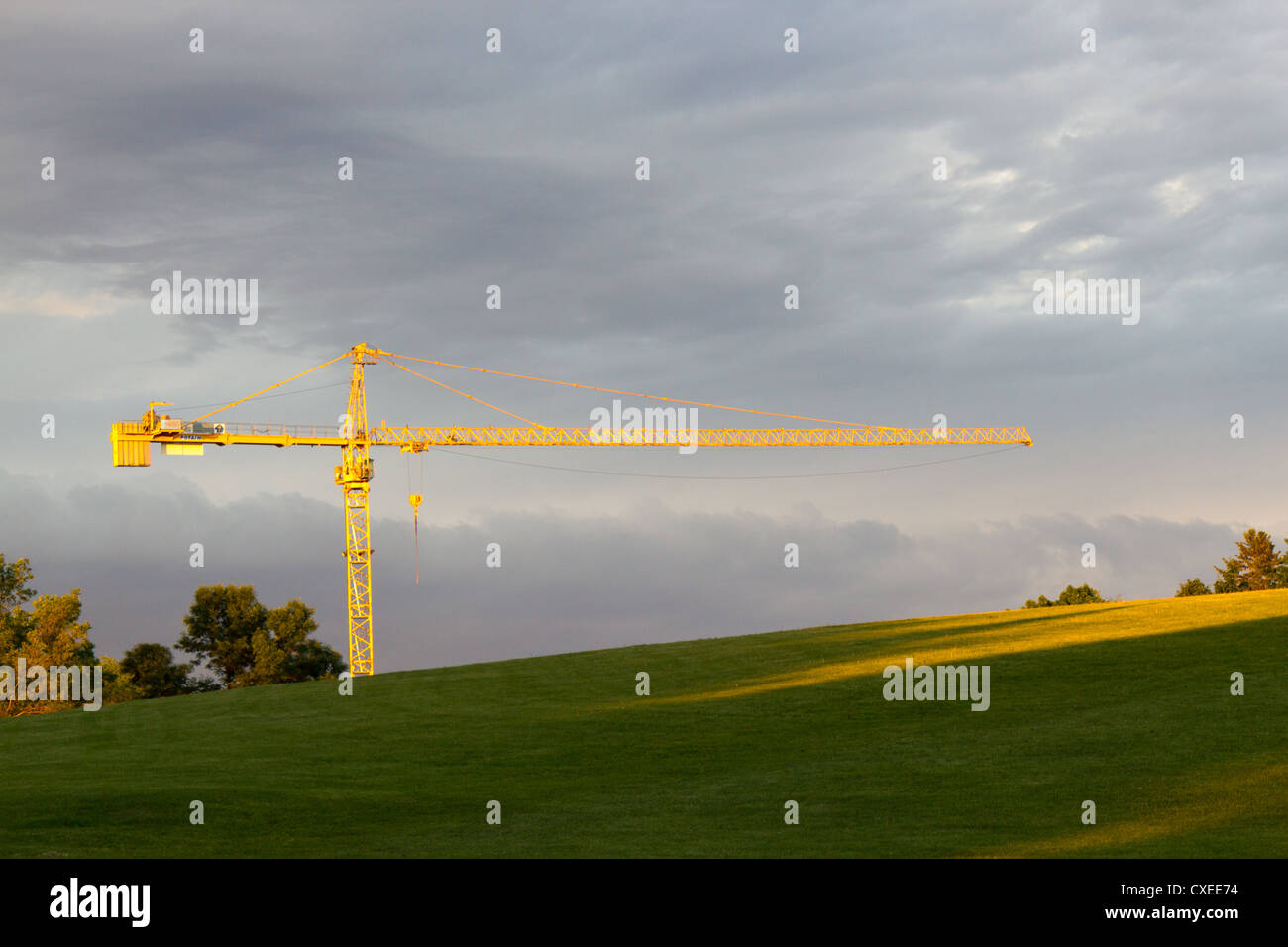 Una gru da cantiere visto da un parco. Composizione orizzontale con copia spazio. Foto Stock