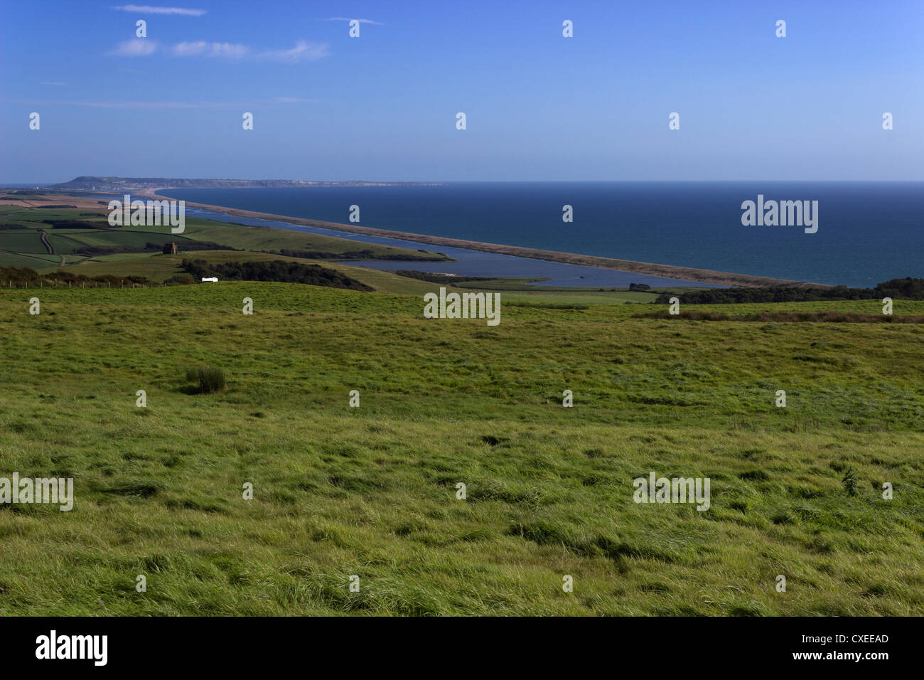 Chesil Banca da Abbotsbury REGNO UNITO Foto Stock