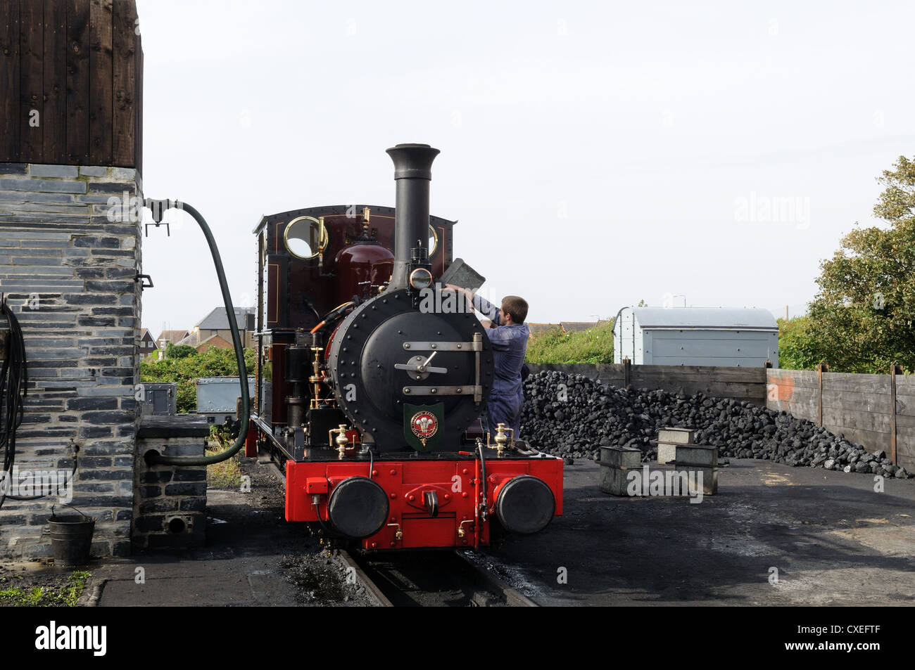 Macchinista addensarsi di motore a vapore con carbone Tywyn Wharf Station Gwynedd in Galles Cymru REGNO UNITO GB Foto Stock