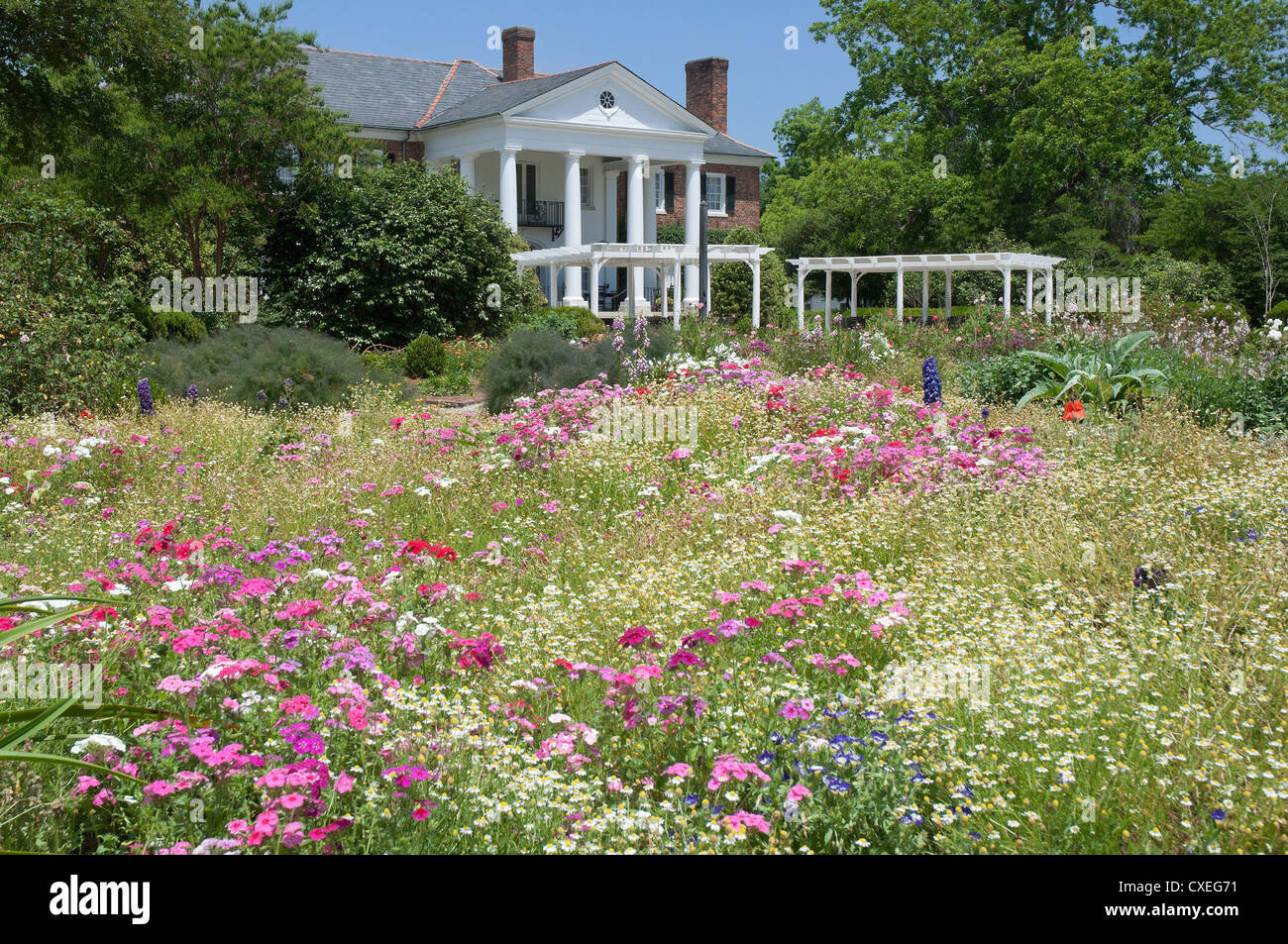 Stile anteguerra Boone Hall Plantation vicino a Charleston, Carolina del Sud è elencato nel Registro Nazionale dei Luoghi Storici. Foto Stock