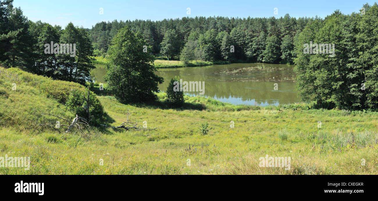 Paesaggio estivo, fiume, alberi e erba, cielo blu. Foto Stock