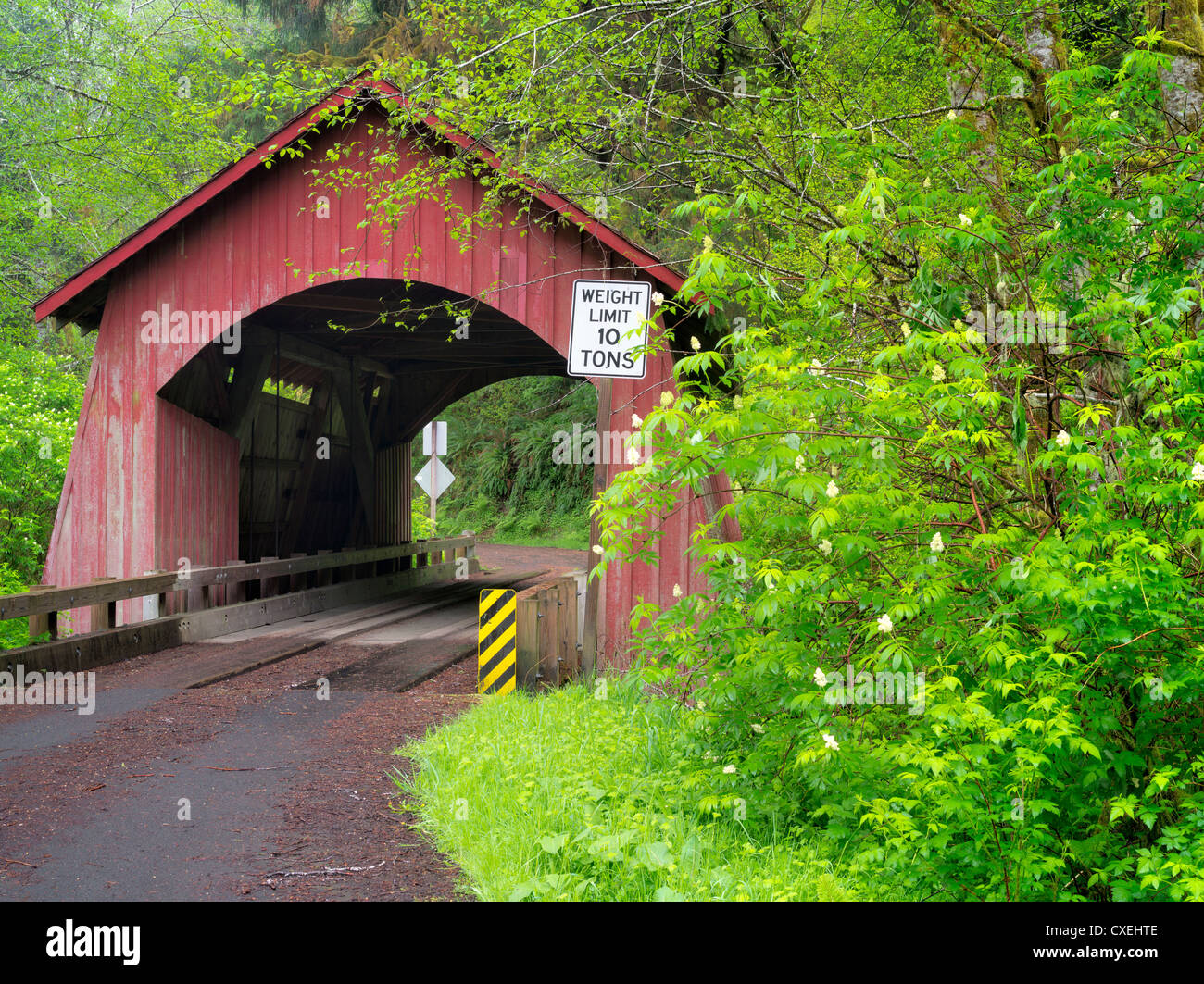 North Fork del Yachats ponte coperto. Oregon Foto Stock
