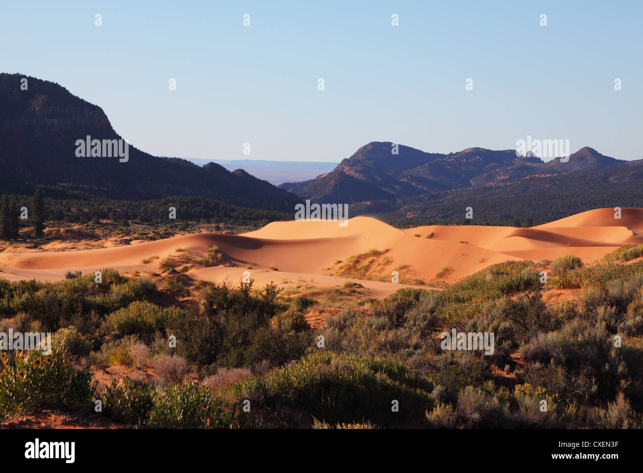 Forme tondeggianti di dune di sabbia Foto Stock