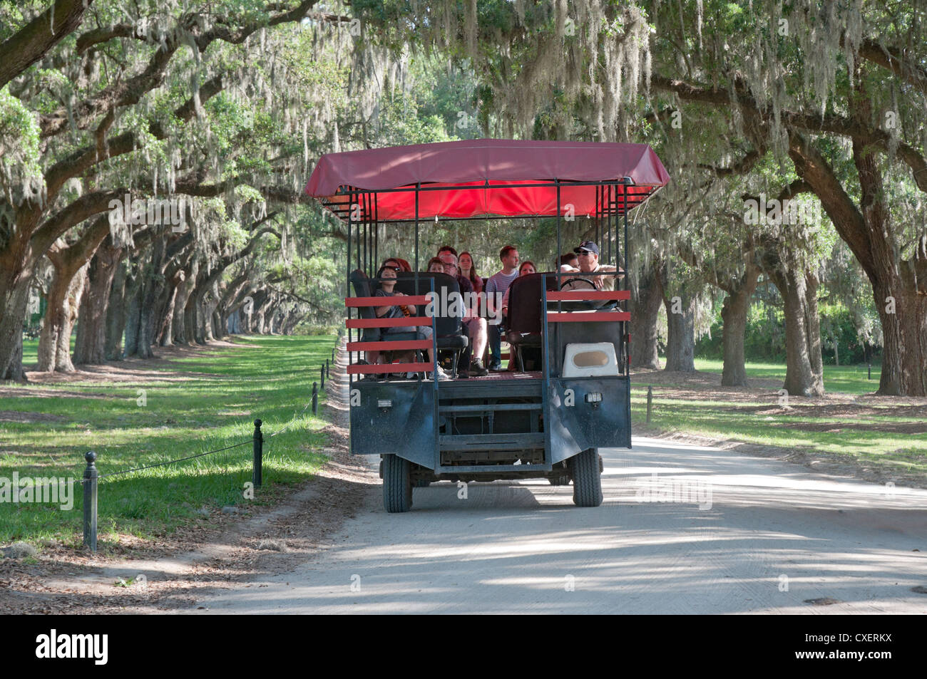 Boone Hall Plantation vicino a Charleston, Carolina del Sud--tour in autobus verso il basso il 'Avenue di querce". Foto Stock