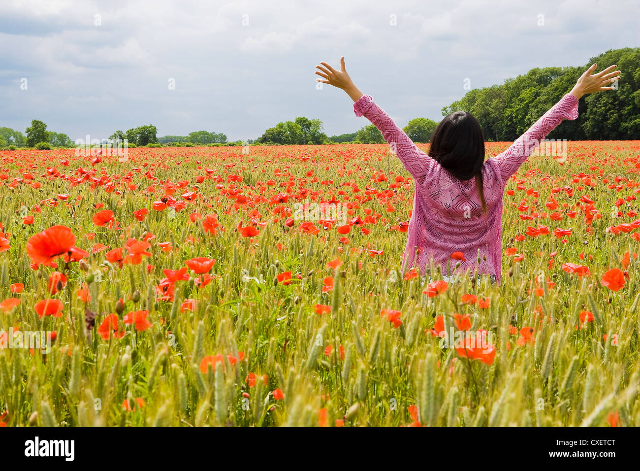 Dai capelli scuri donna tenendo le braccia in un inglese Wheatfield circondato da papaveri Foto Stock