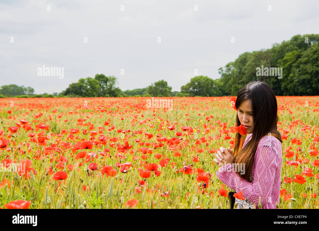 Pretty Thai ragazza baciare fiore in un wheatfield circondato da papaveri Foto Stock