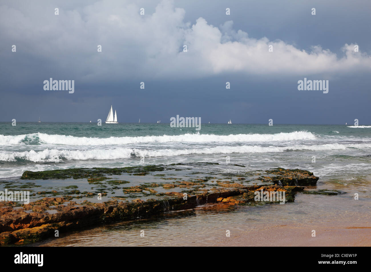 Bellissime vele bianche all'orizzonte Foto Stock