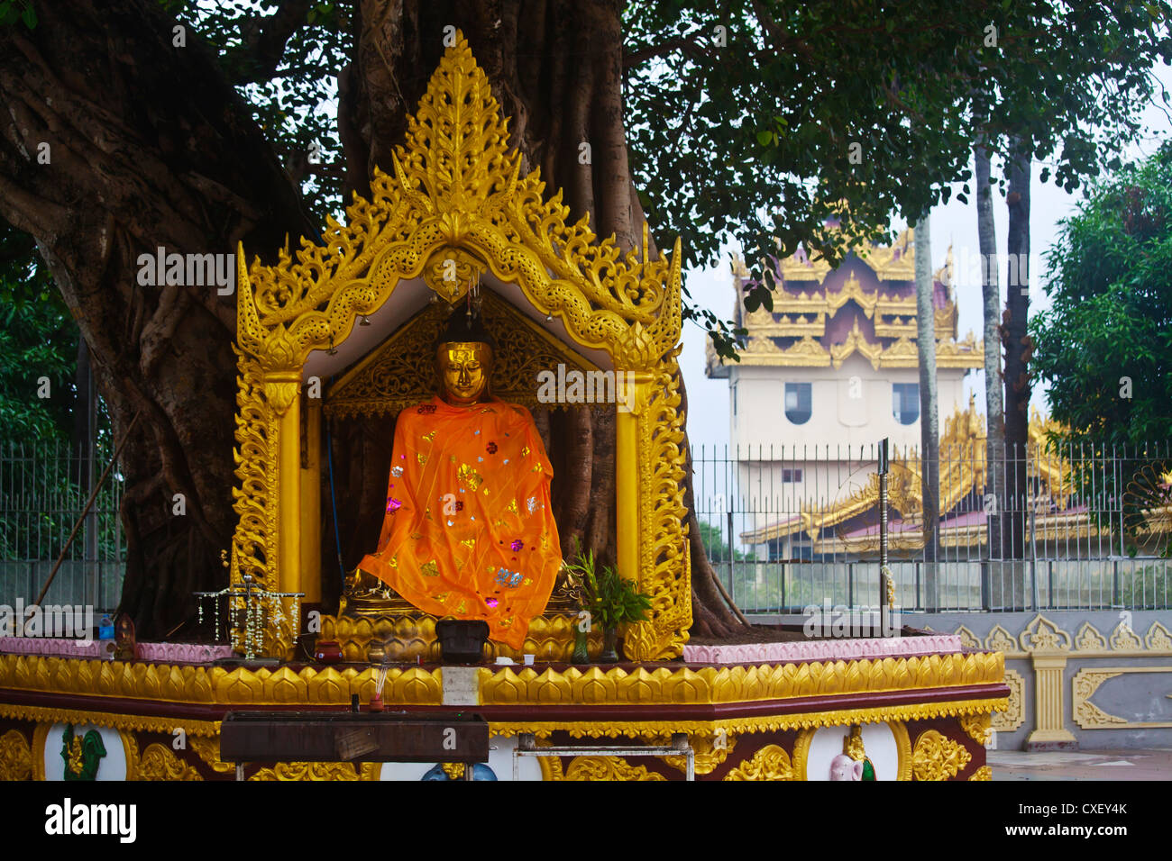 Statua del Buddha sotto un albero BODHI a Shwedagon Paya o pagoda che risale al 1485 - YANGON, MYANMAR Foto Stock