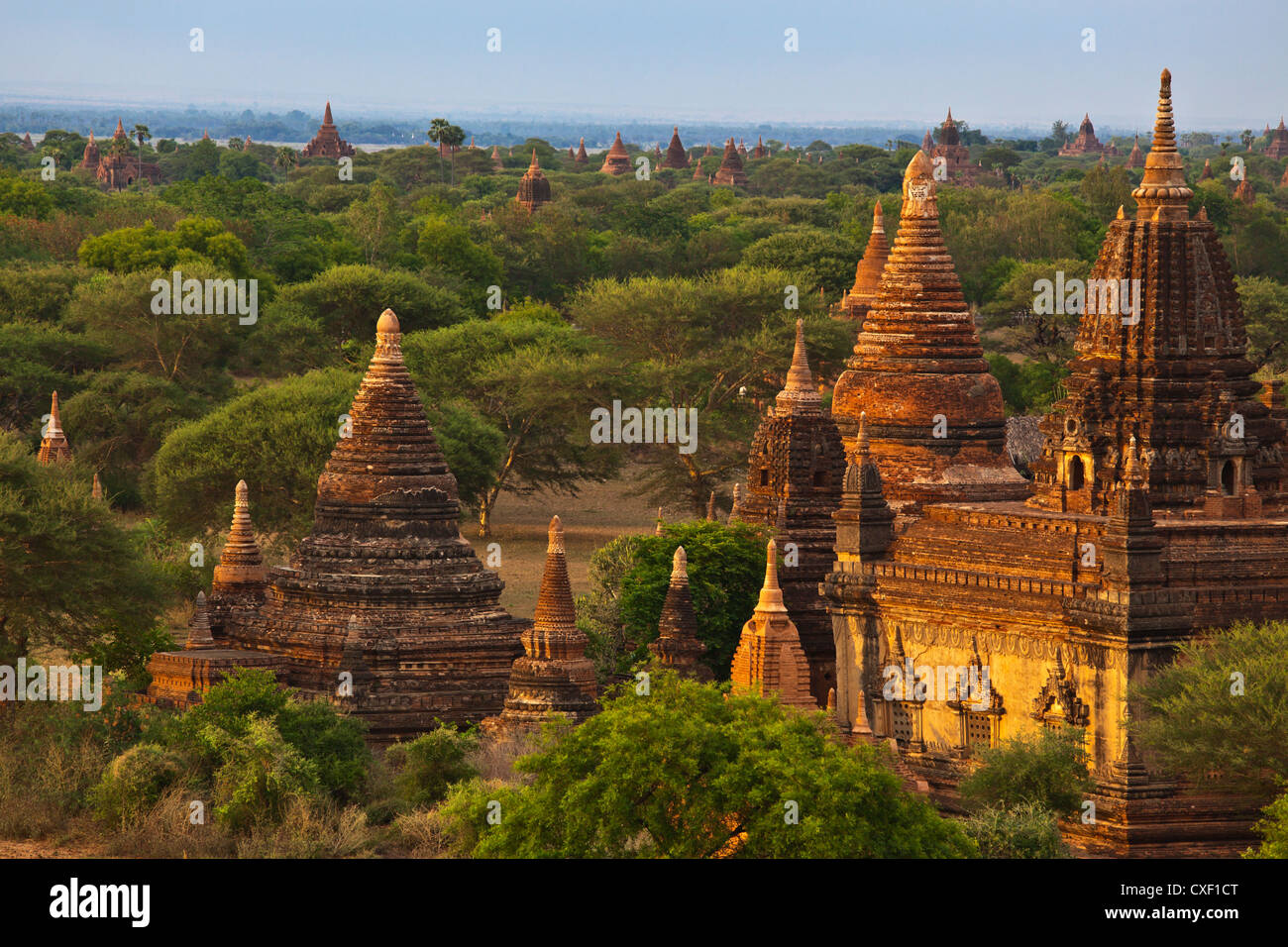 Vista dal tempio Shwesandaw Paya o al crepuscolo - BAGAN, MYANMAR Foto Stock