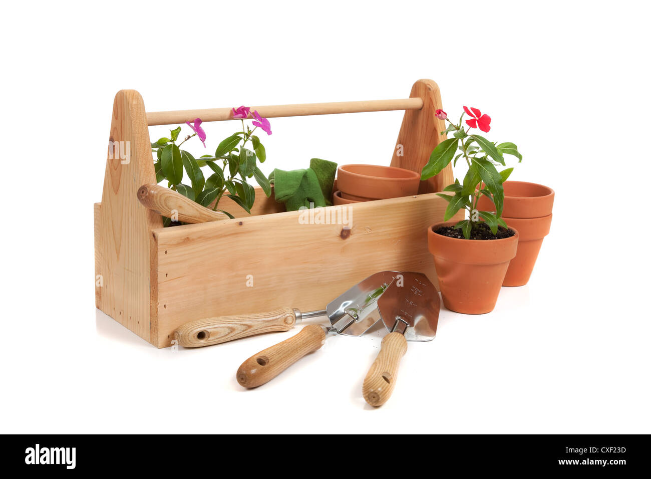 Fiori in un vassoio di legno con pentole di creta e utensili da giardinaggio Foto Stock