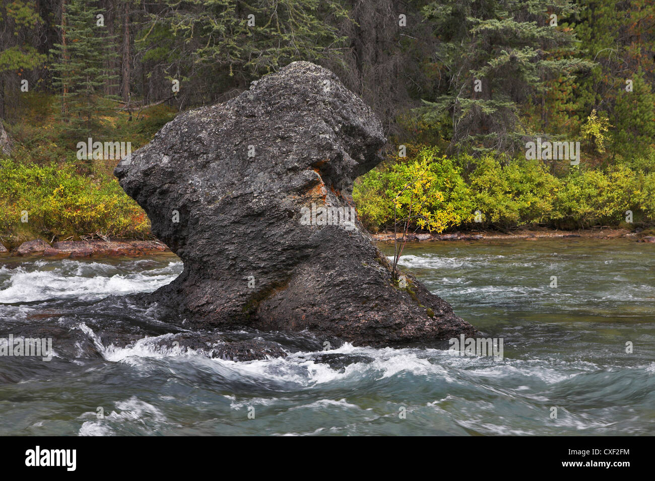 Roccia solitaria. Foto Stock