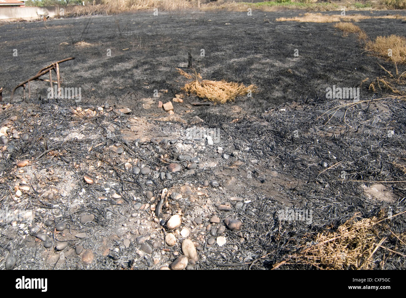 Terra bruciata la massa di suolo forest fire incendi ceneri bruciate Foto Stock