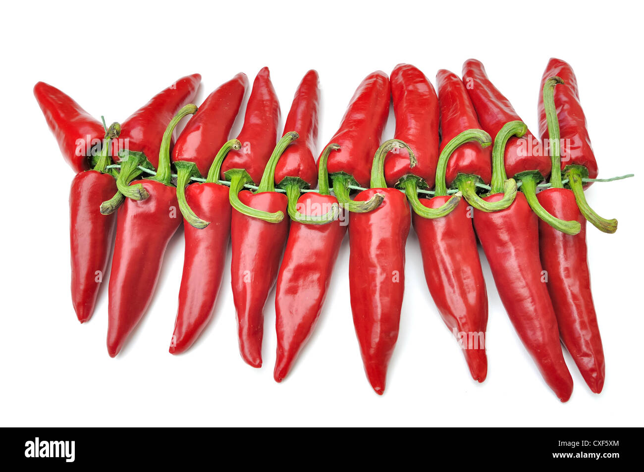 Red Hot Chili Peppers su sfondo bianco allineate Foto Stock