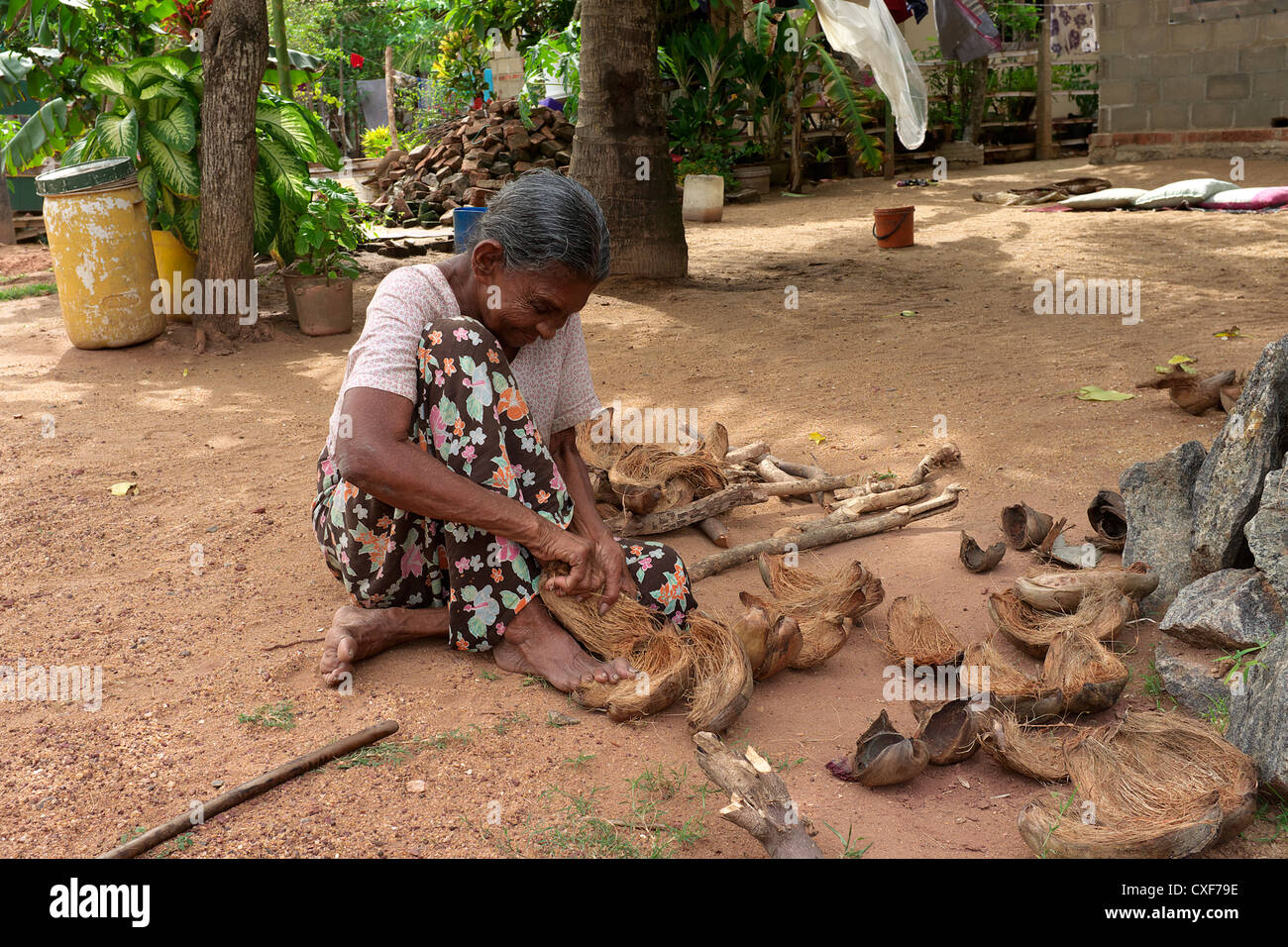 Vecchia donna prendendo la fibra da un guscio di noce di cocco, Waikkal village, Sri Lanka Foto Stock