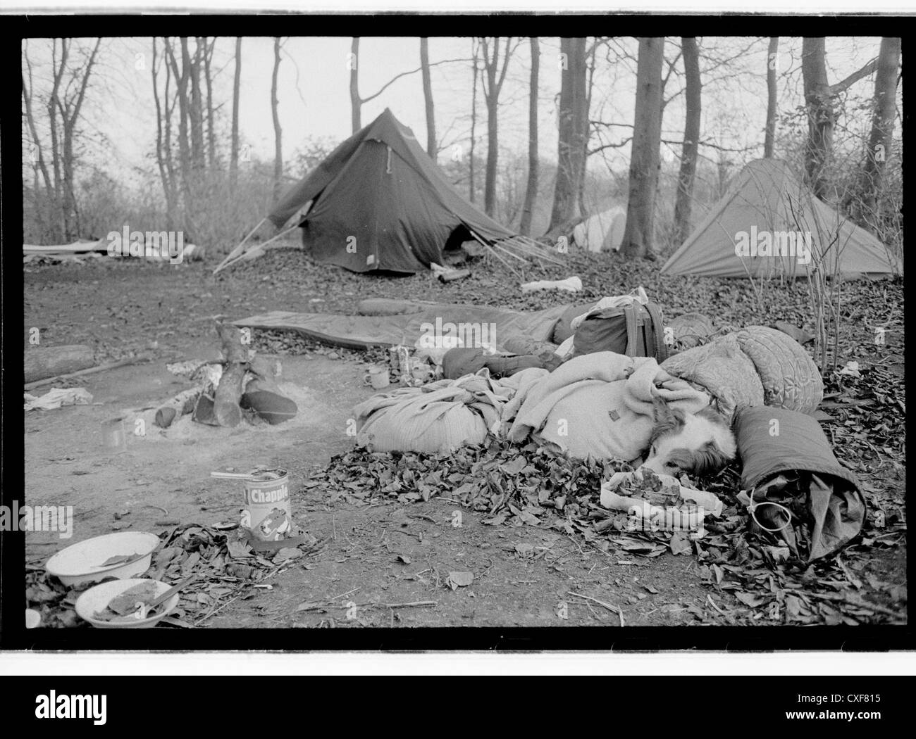 Protesta camp site . M3 estensione Winchester. Twyford verso il basso Foto Stock