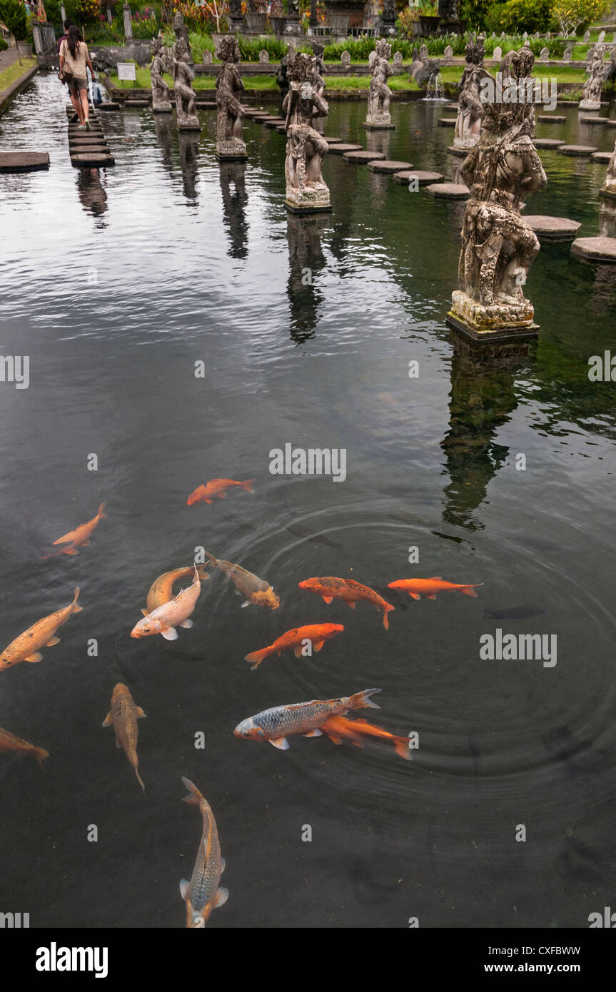 Statue di pietra e di carpe presso il Taman Tirtagangga acqua Palace e il giardino di Bali Orientale, Indonesia. Foto Stock