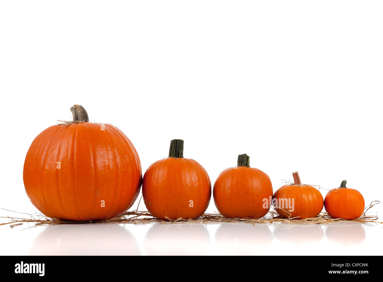 Fila di zucche sulla paglia Foto Stock