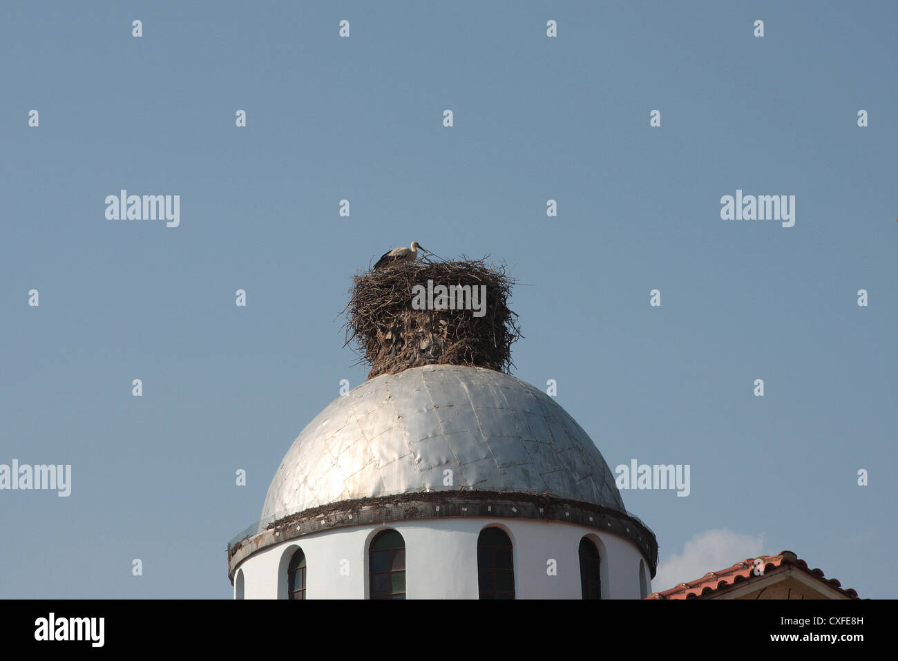 Nido di cicogna sulla cupola della chiesa in Artesiano, Grecia Foto Stock