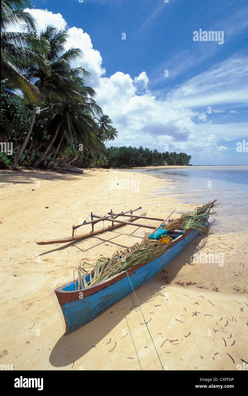 Outrigger canoe su Palm e alberato beach, villaggio di Walung, Kosrae, Micronesia. Foto Stock