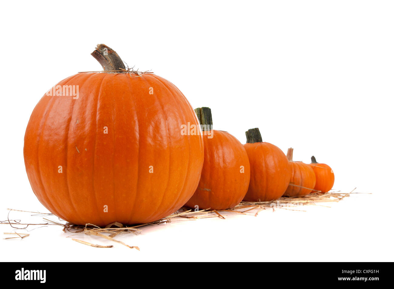 Fila di zucche sulla paglia Foto Stock