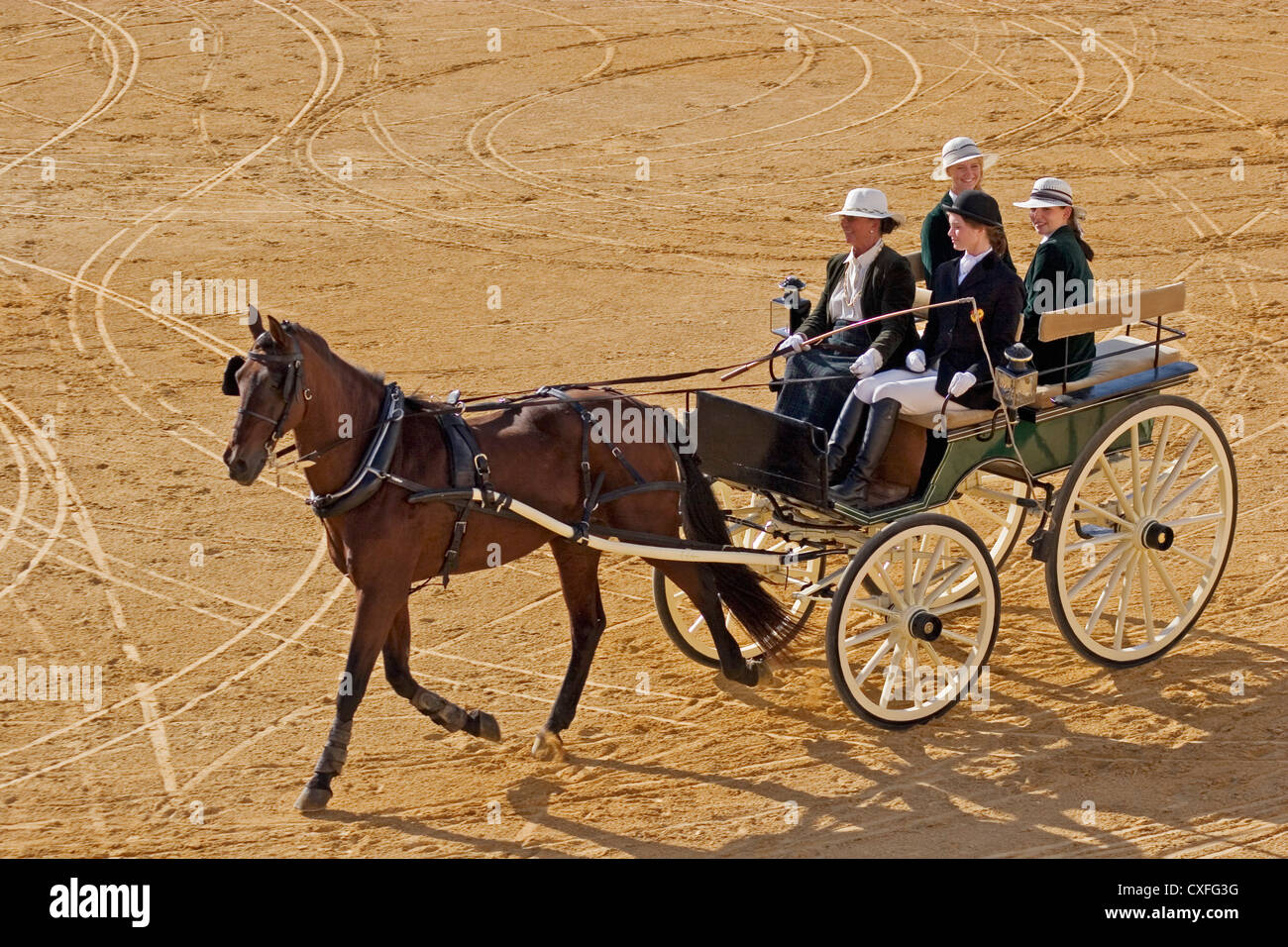 Concorso nazionale di catture fair marbella costa del sol malaga andalusia Spagna concurso nacional enganches feria andalucia Foto Stock