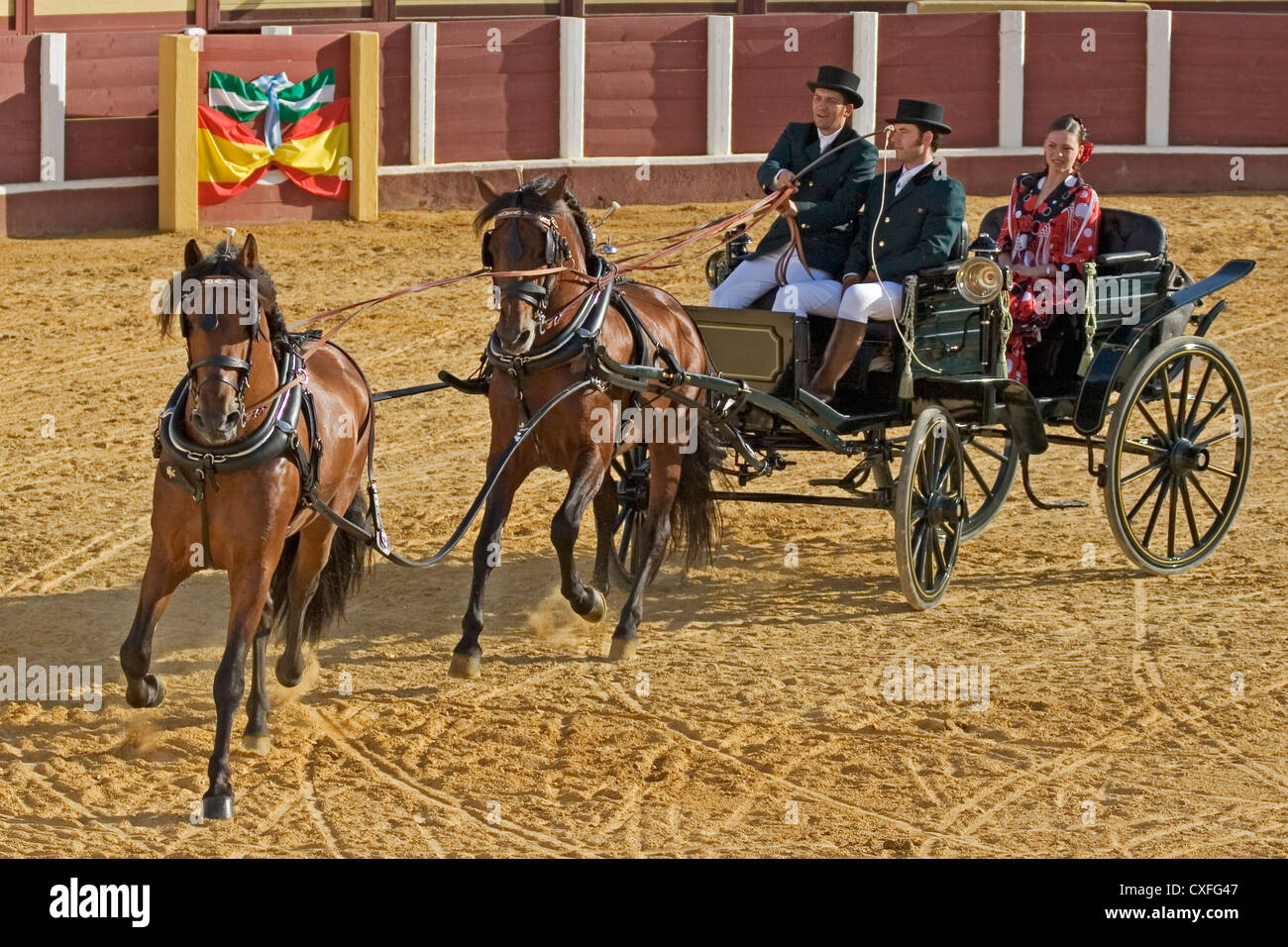 Concorso nazionale di catture fair marbella costa del sol malaga andalusia Spagna concurso nacional enganches feria andalucia Foto Stock