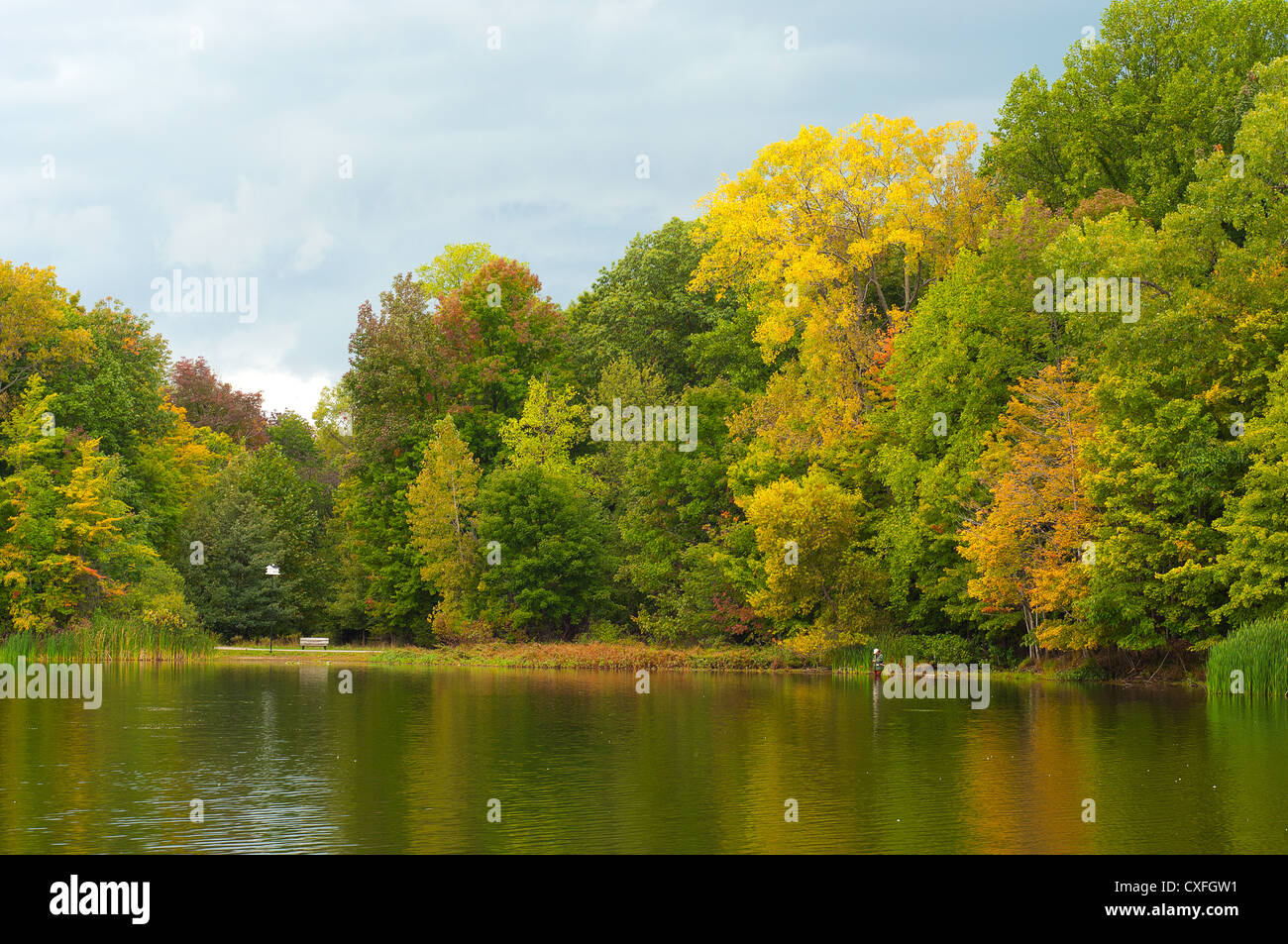 Bella immagine di caduta di alberi a lago con una persona la pesca dal litorale con una casetta per uccelli Foto Stock