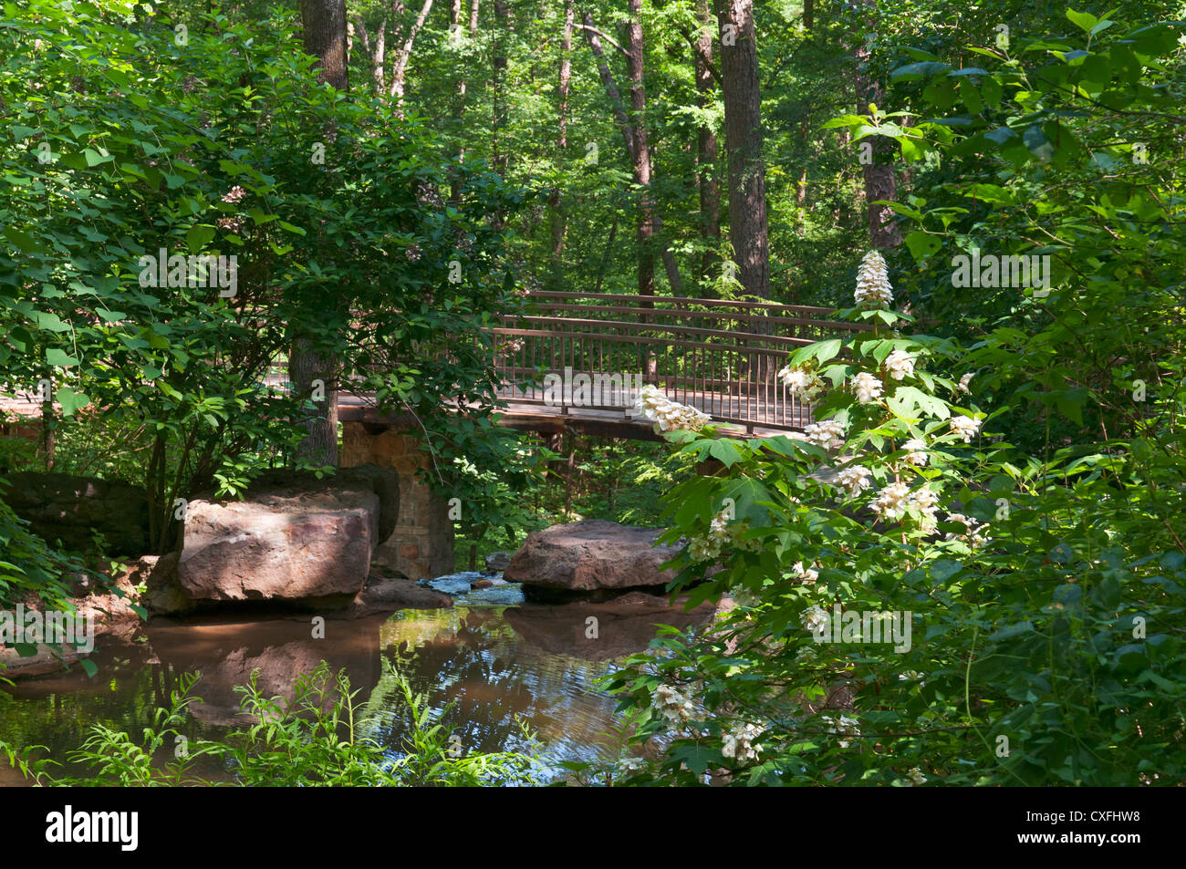 Arkansas, Hot Springs, Garvan Woodland Gardens, ADA accessibile. Foto Stock