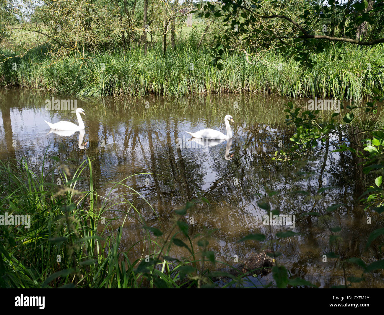 Inghilterra midlands worcestershire valle del fiume freccia redditch Foto Stock