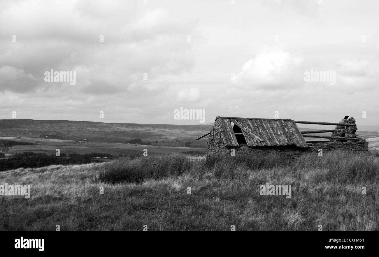 Vista su North Pennines da Quickcleugh Moss Foto Stock