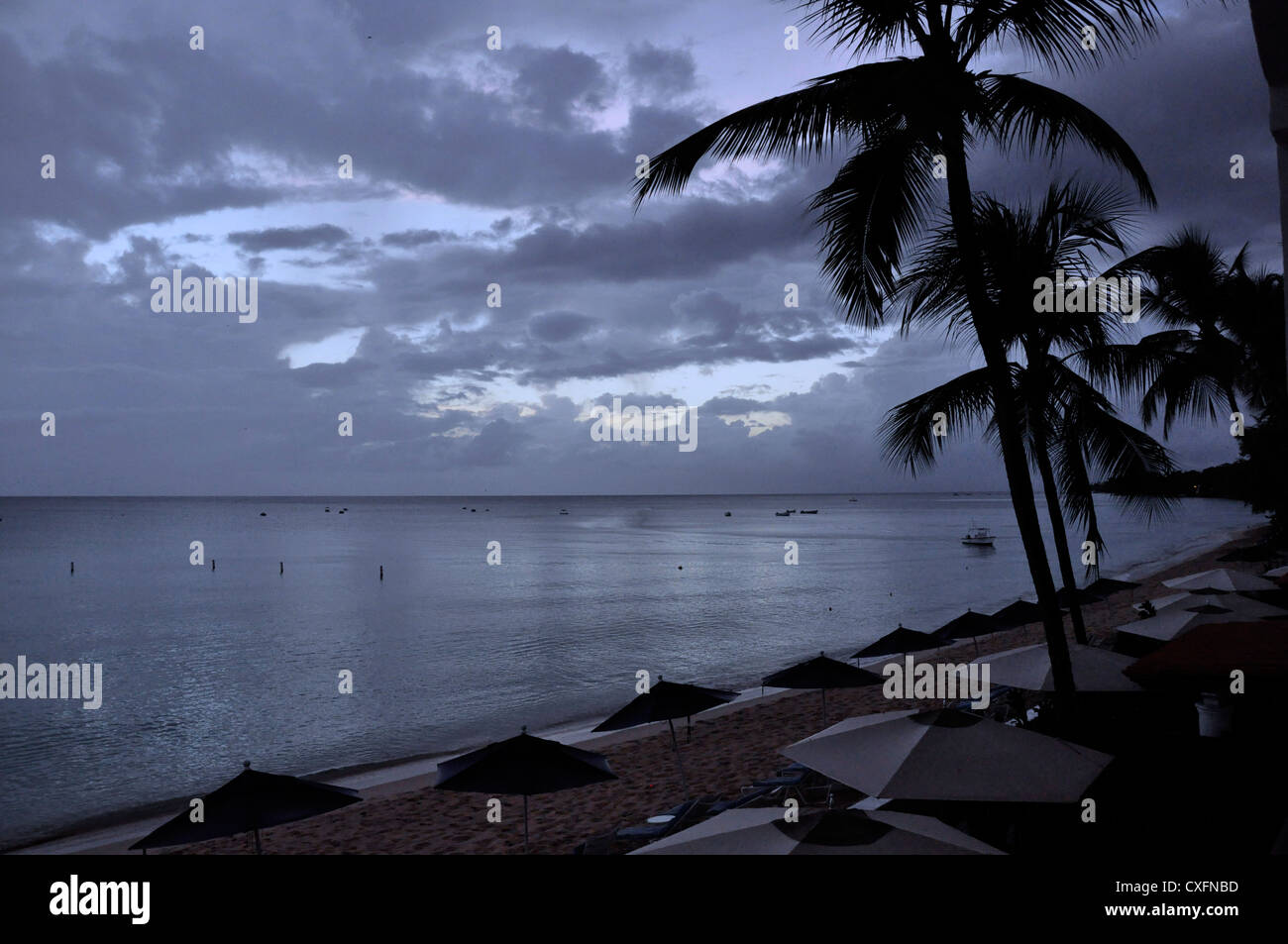 Barbados, spiaggia, sera, monocromatica Foto Stock