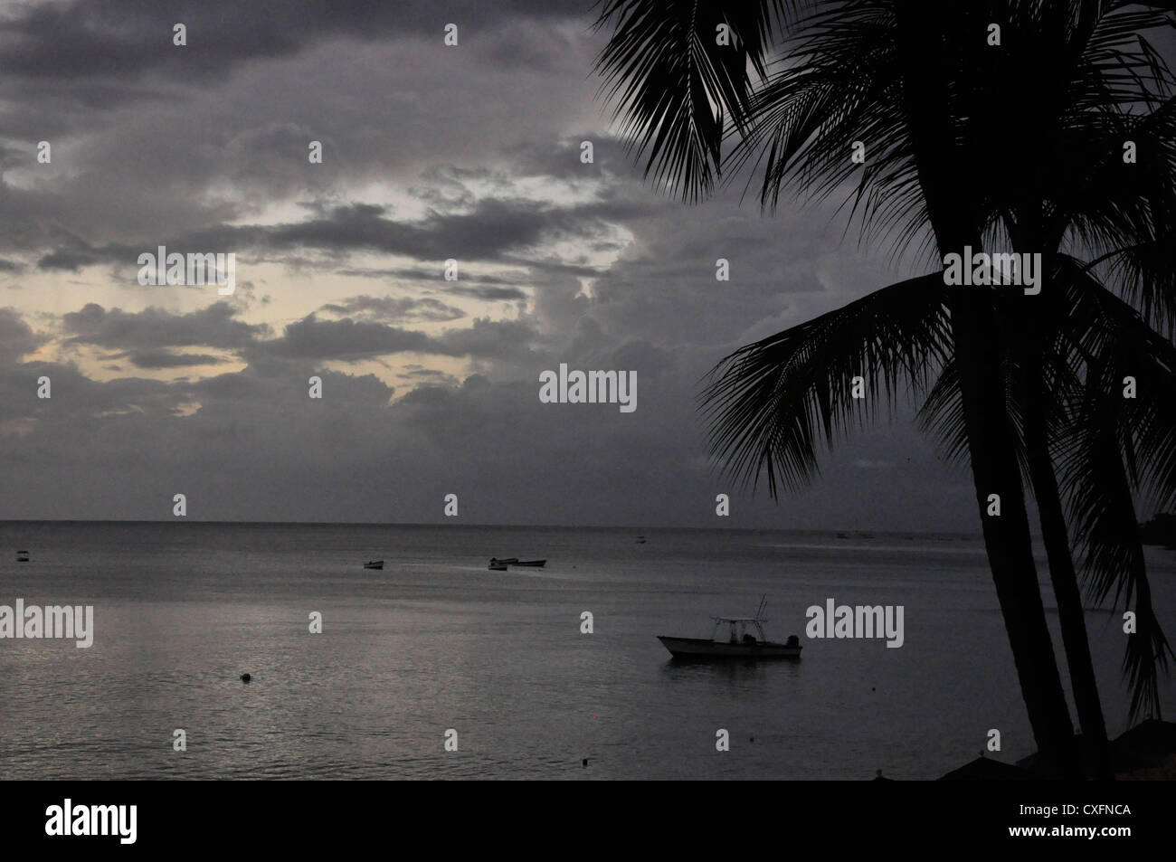 Barbados, barche da pesca, sera, monocromatica Foto Stock