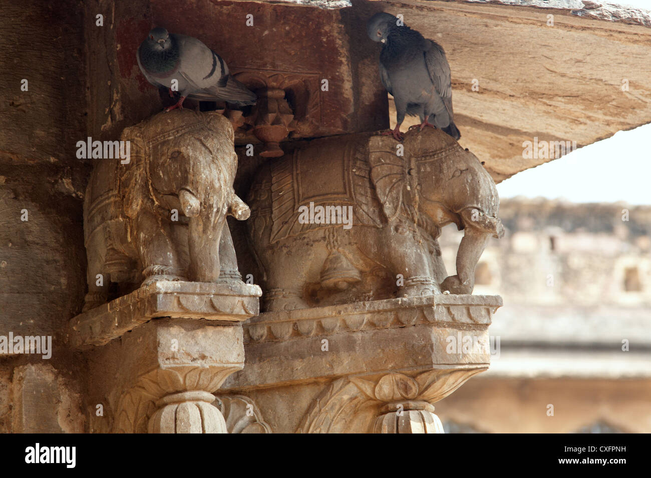 Chand Baori passo ben, Abhaneri, Rajasthan, India, Asia Foto Stock