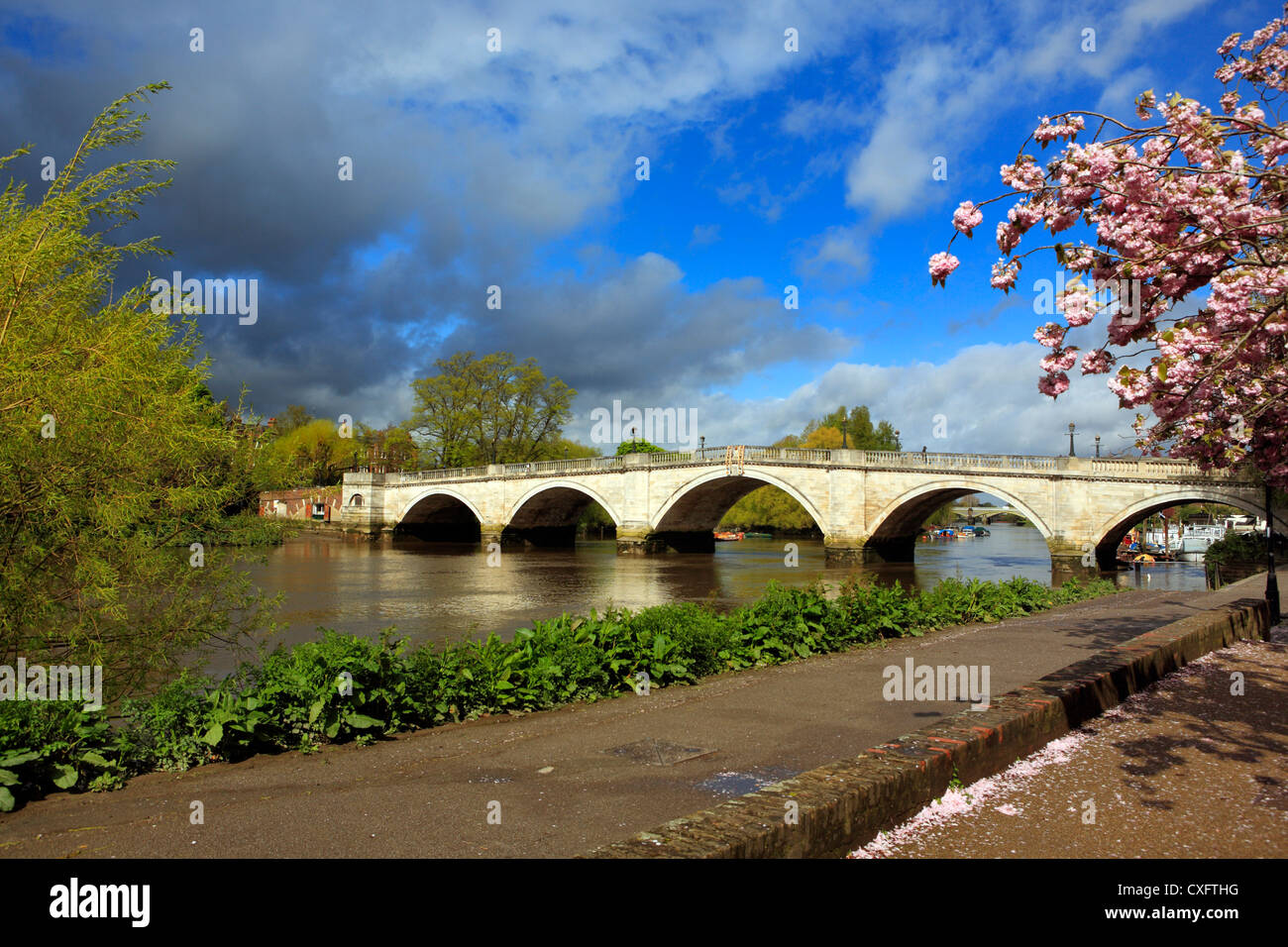 Il fiume Tamigi, Richmond Bridge, London, Regno Unito Foto Stock