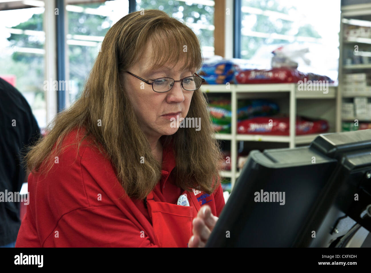 Donna di mezza età supermercato clerk si concentra sul suo registro nel piccolo supermercato locale nella città di Long Beach Washington Foto Stock