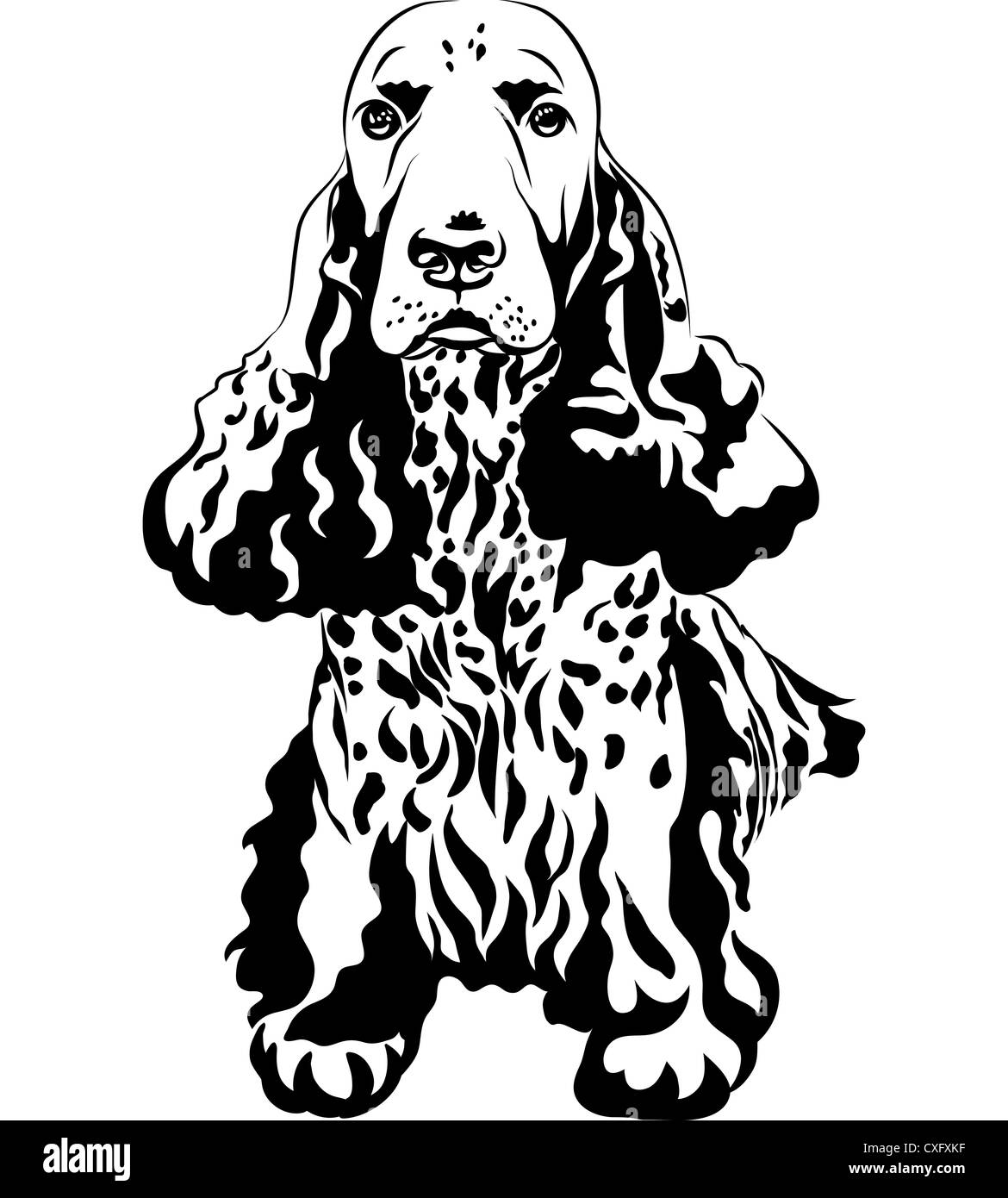 Bianco e nero sketch close-up verticale di una pistola di cane di razza inglese Cocker Spaniel seduta Foto Stock