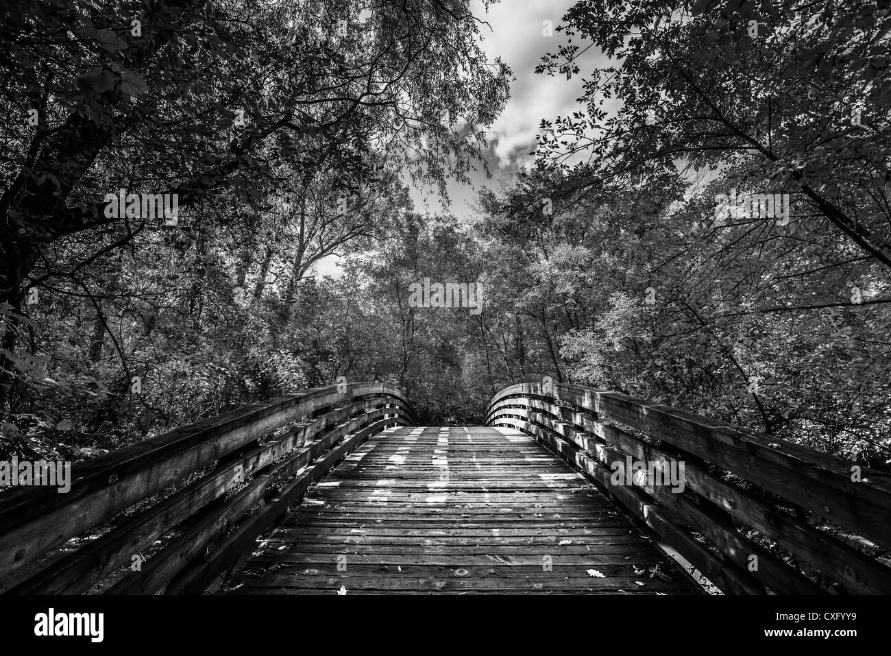 Si tratta di un paesaggio immagine presa in autunno. Foto Stock