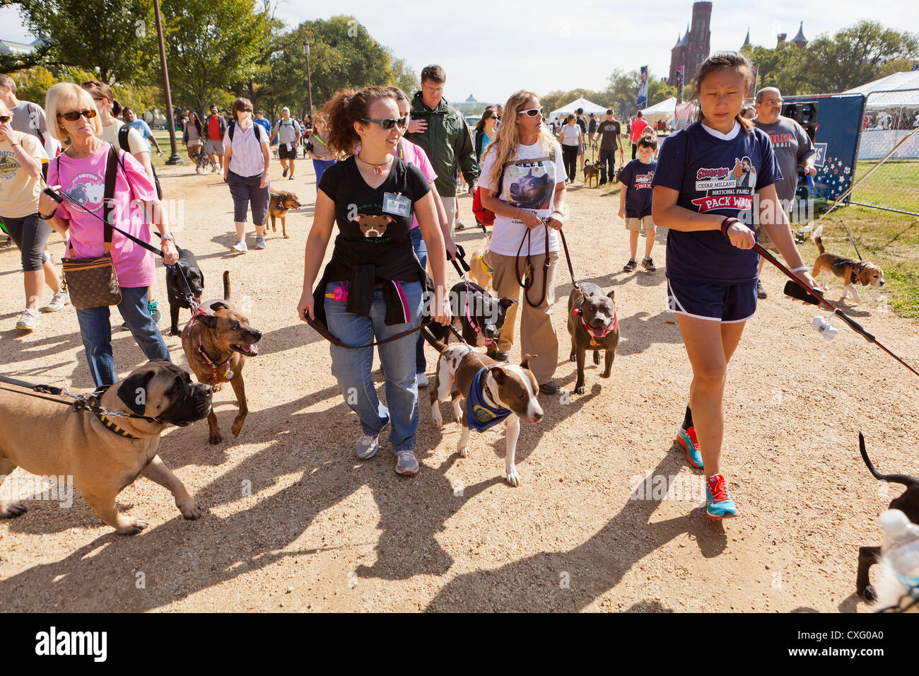 Un grande gruppo di persone a piedi i loro cani Foto Stock