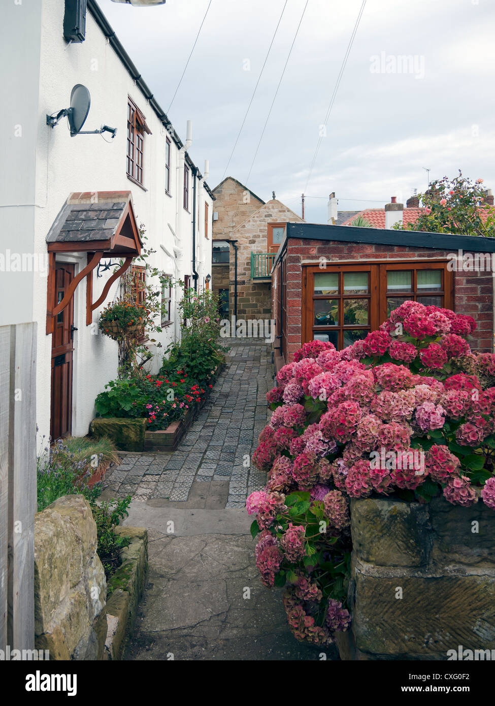 Marske dal mare Cleveland UK mantiene la sua strada medievale layout con piccoli cottage che si affacciano su stretti vicoli. Foto Stock Marske dal mare Cleveland UK mantiene la sua strada medievale layout con piccoli cottage che si affacciano su stretti vicoli. Foto Stock