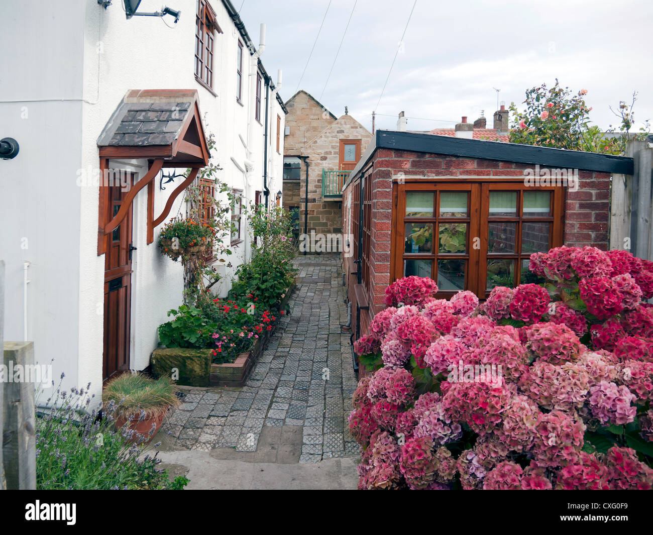 Marske dal mare Cleveland UK mantiene la sua strada medievale layout con piccoli cottage che si affacciano su stretti vicoli. Foto Stock Marske dal mare Cleveland UK mantiene la sua strada medievale layout con piccoli cottage che si affacciano su stretti vicoli. Foto Stock