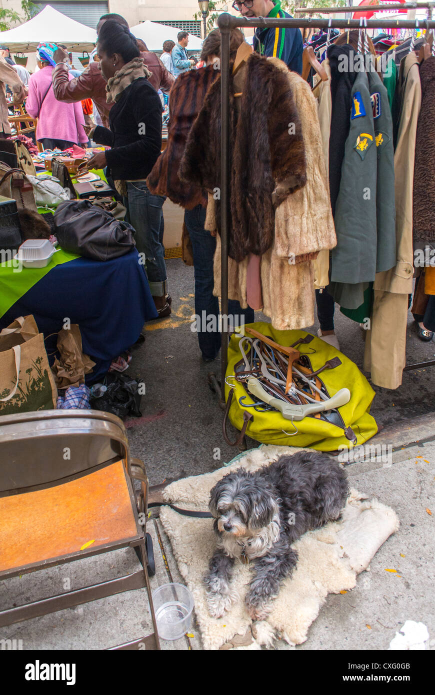 New York, NY, USA, People Shopping in Vintage Old Clothing Stall il Brooklyn Street Festival, 'Atlantic Antic', mercato delle pulci, Urban Pets Foto Stock
