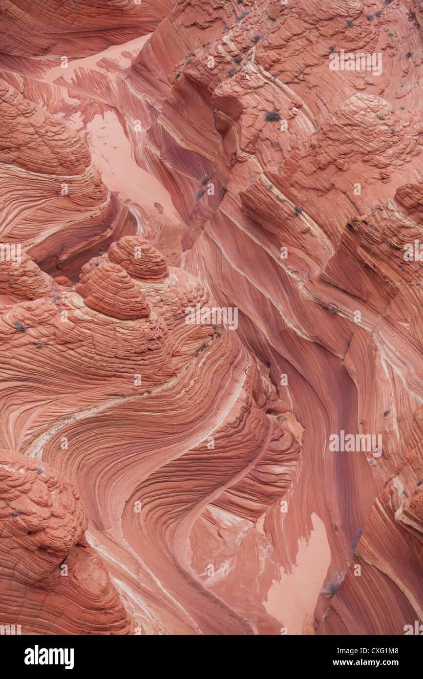 VISTA AEREA. Canyon scolpito in pietra arenaria eoliana a croce. Paria Vermillion Cliffs National Monument, Coconino County, Arizona, USA. Foto Stock
