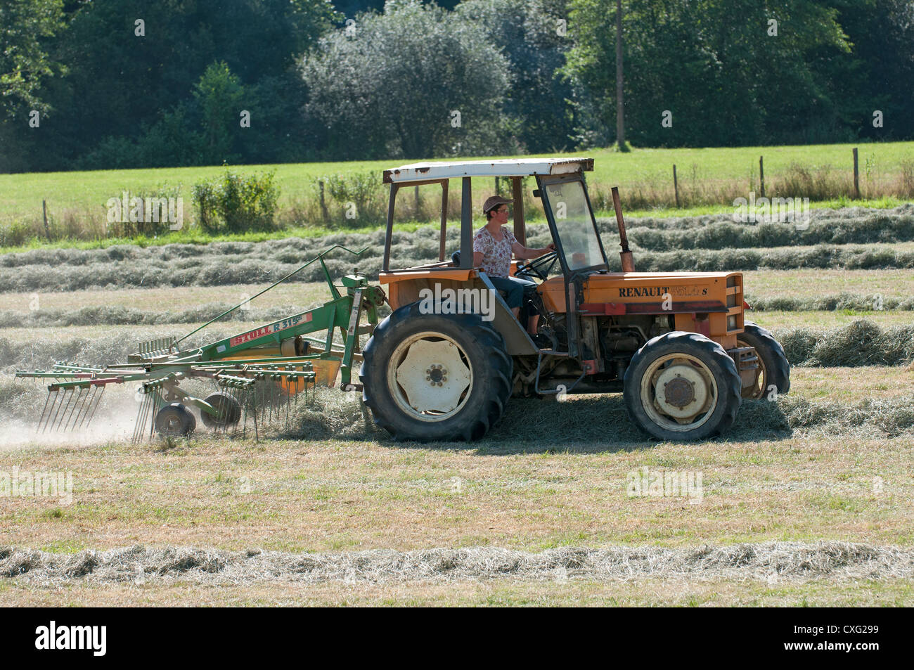 Fienagione sud-ovest della Francia Foto Stock