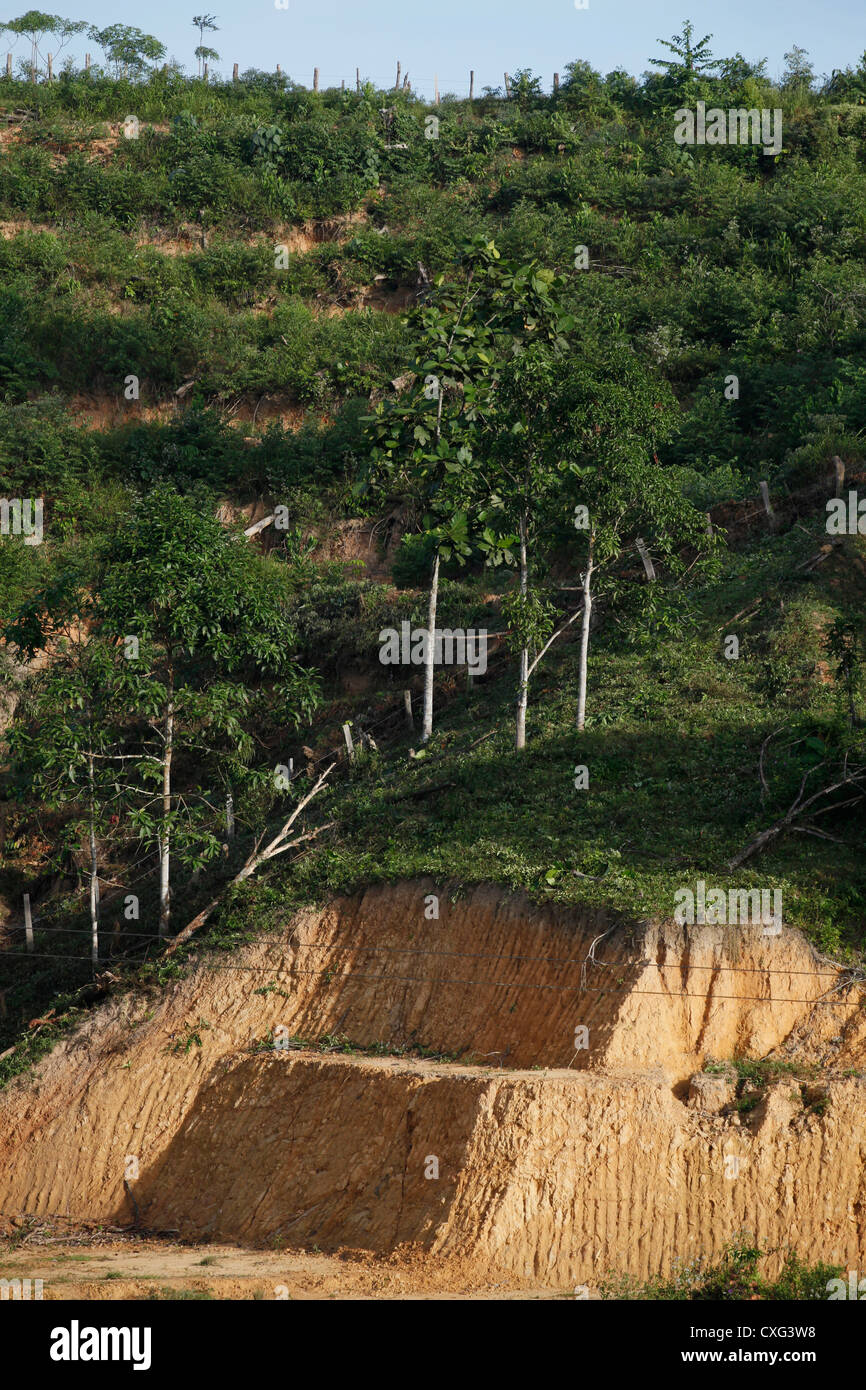 La deforestazione a causa di attività minerarie e olio di palma di piantagioni in Borneo, Malaysia Foto Stock