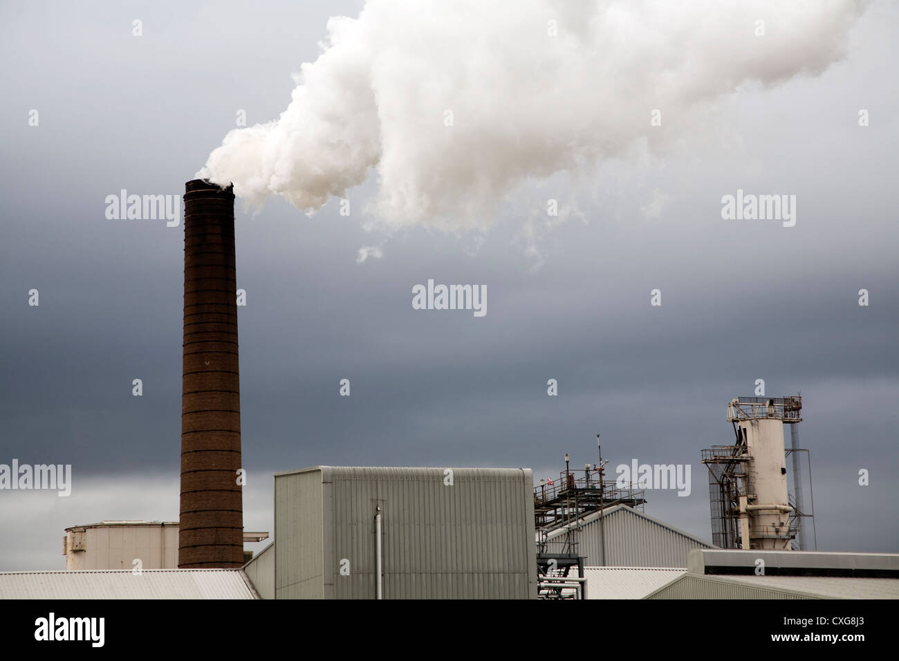 British Sugar factory Bury St Edmunds Suffolk in Inghilterra Foto Stock