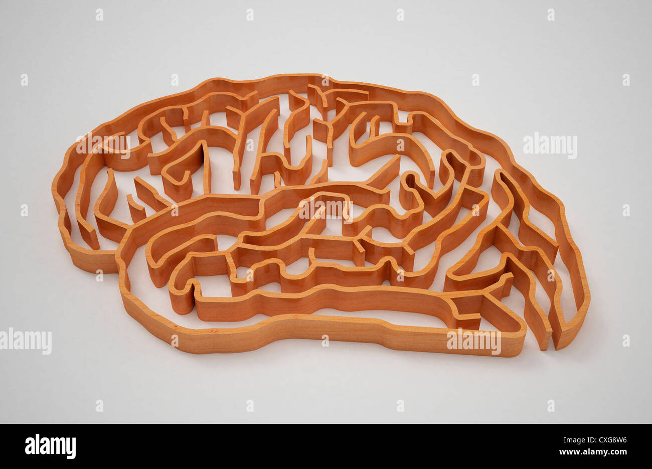 Un labirinto con una forma del cervello umano Foto Stock